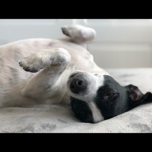 Meet your Posher, Timmy